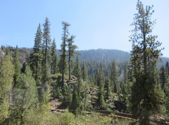 Stanislaus National Forest